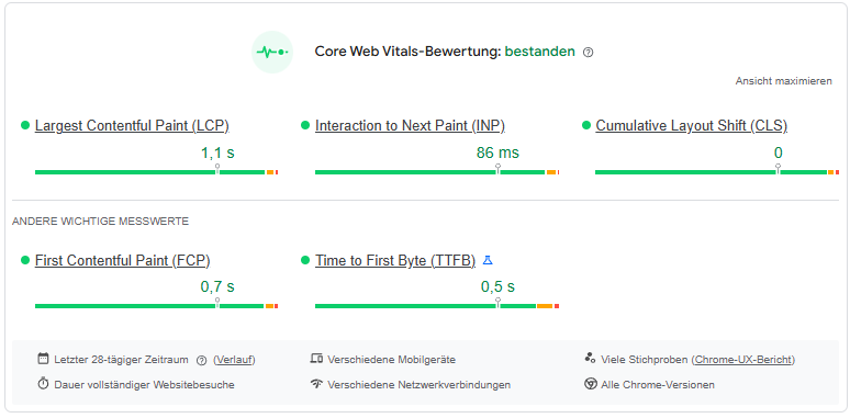 Screenshot aus einem Google PageSpeed Test zum Thema Core Web Vitals. Die Seite hat die Core Web Vitals Bewertung bestanden.